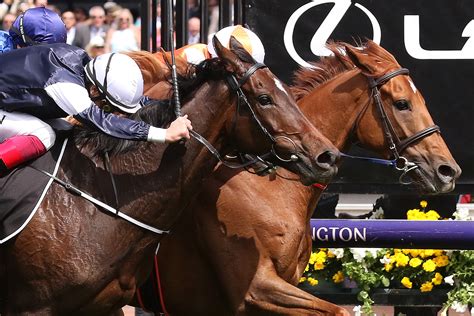 melbourne cup 2019 results